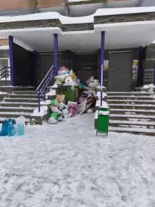 Фотография Нижэкология-Нн 2